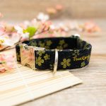 Schwarzes Halsband mit silbener Schnalle und goldenem Kirchblütenmuster
