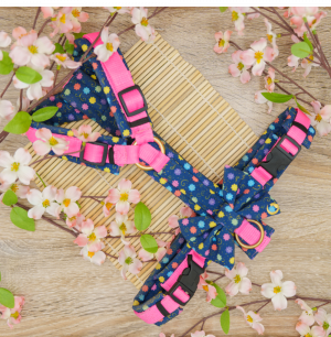 Ein Geschirre mit blauem Stoff und bunten Punkten aus Softshell. Das Geschirr hat pinkes Gurtband. Das Geschirr ist mit Acetal Schnalle und -schiebern ausgestattet und mit Messing-Ringe. An dem Geschirr ist noch eine Fliege aus dem gleichen Stoff wie das Geschirr befestigt. Der Stoff heißt Konpeitō