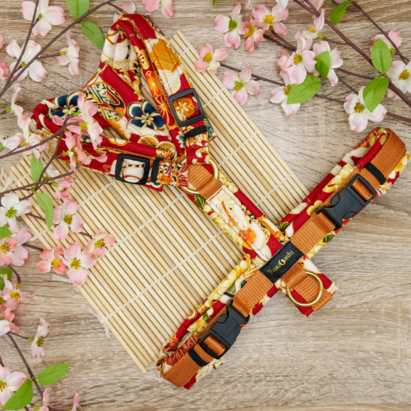 TsukiAshi Baumwoll Y-Geschirr aus einem roten Stoff mit ummantelten Rückensteg, Brussteg und Schulterpolster. Die Metalle sind aus Acetal und Messing.